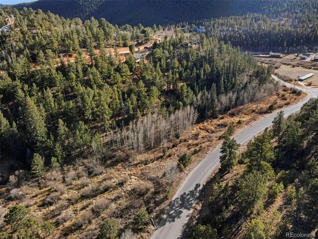 $465,000 | 114 Hall Road, Bailey, CO 80421