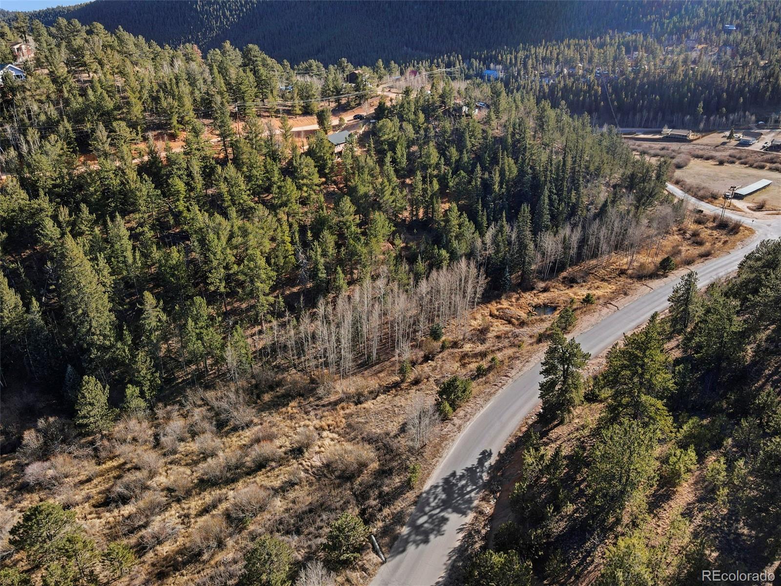 114 Hall Road Bailey, CO 80421 - Photo 20 of 21 a view of a yard with a tree