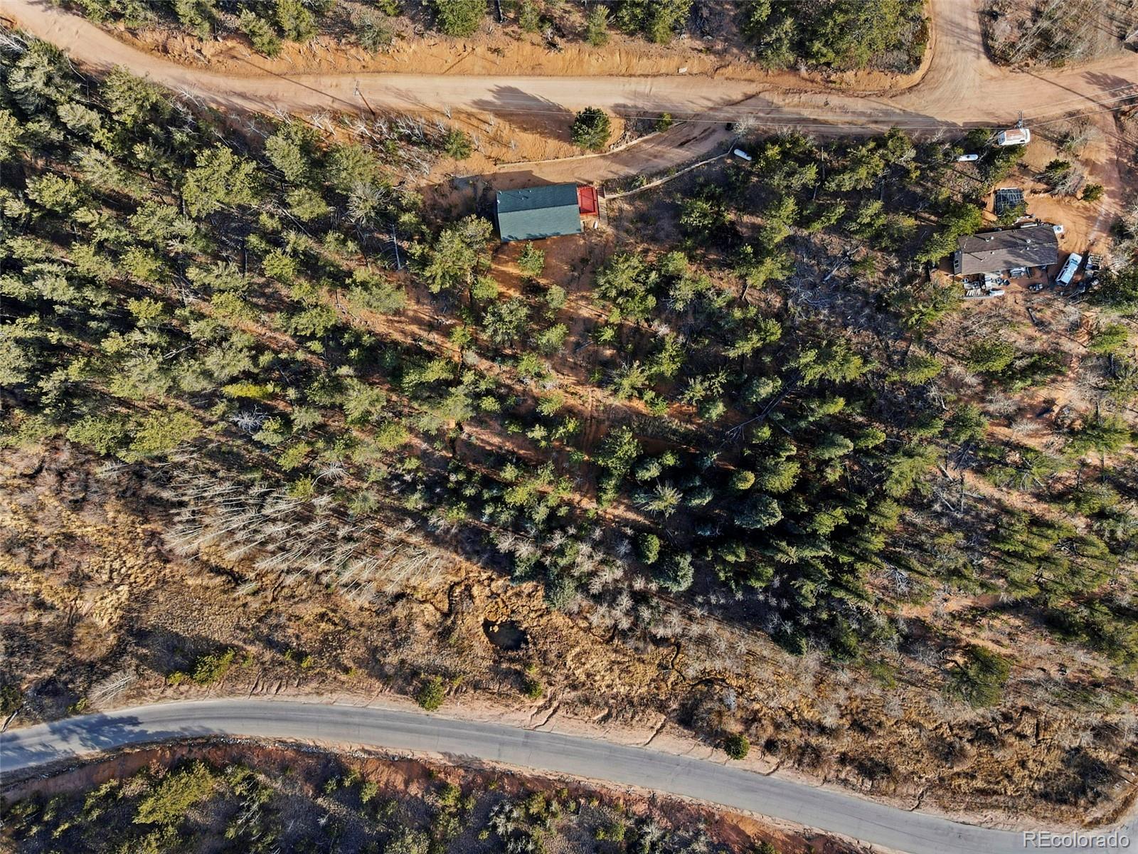 114 Hall Road Bailey, CO 80421 - Photo 21 of 21 a view of a yard