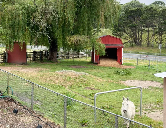 $1,495,000 | 11957 Bodega Highway, Sebastopol, CA 95472