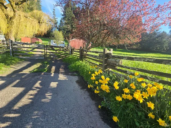 $1,495,000 | 11957 Bodega Highway, Sebastopol, CA 95472