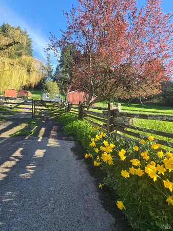 $1,495,000 | 11957 Bodega Highway, Sebastopol, CA 95472