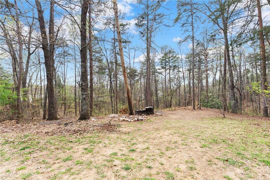 64 Wild Ridge Lane Dahlonega, GA 30533 - Photo 39 of 47