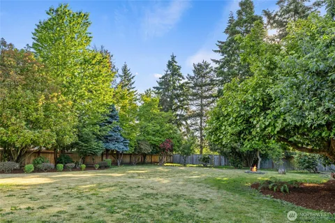 a view of a park with large trees