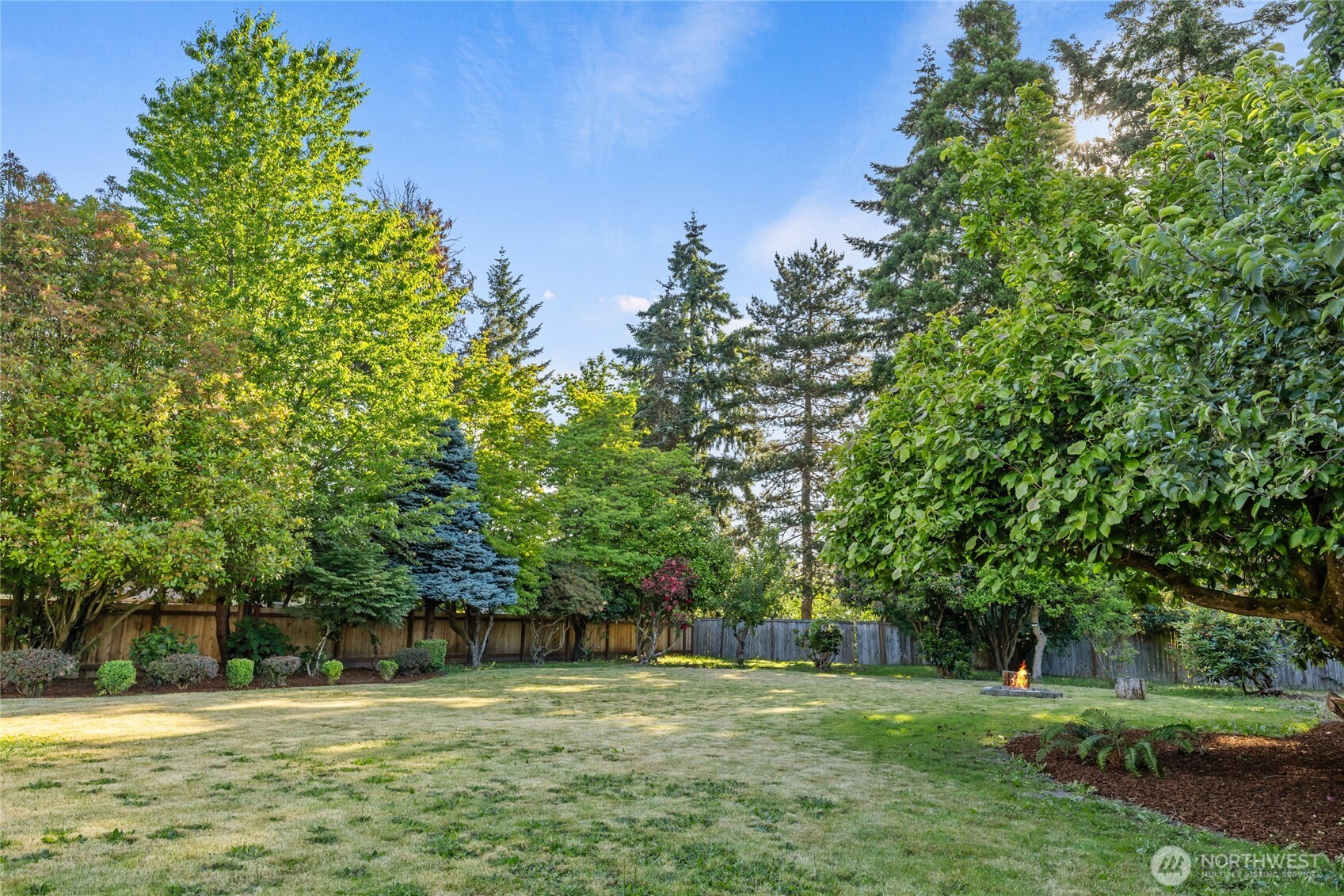 1003 9th Street Northwest Puyallup, WA 98371 - Photo 36 of 40 a view of a park with large trees