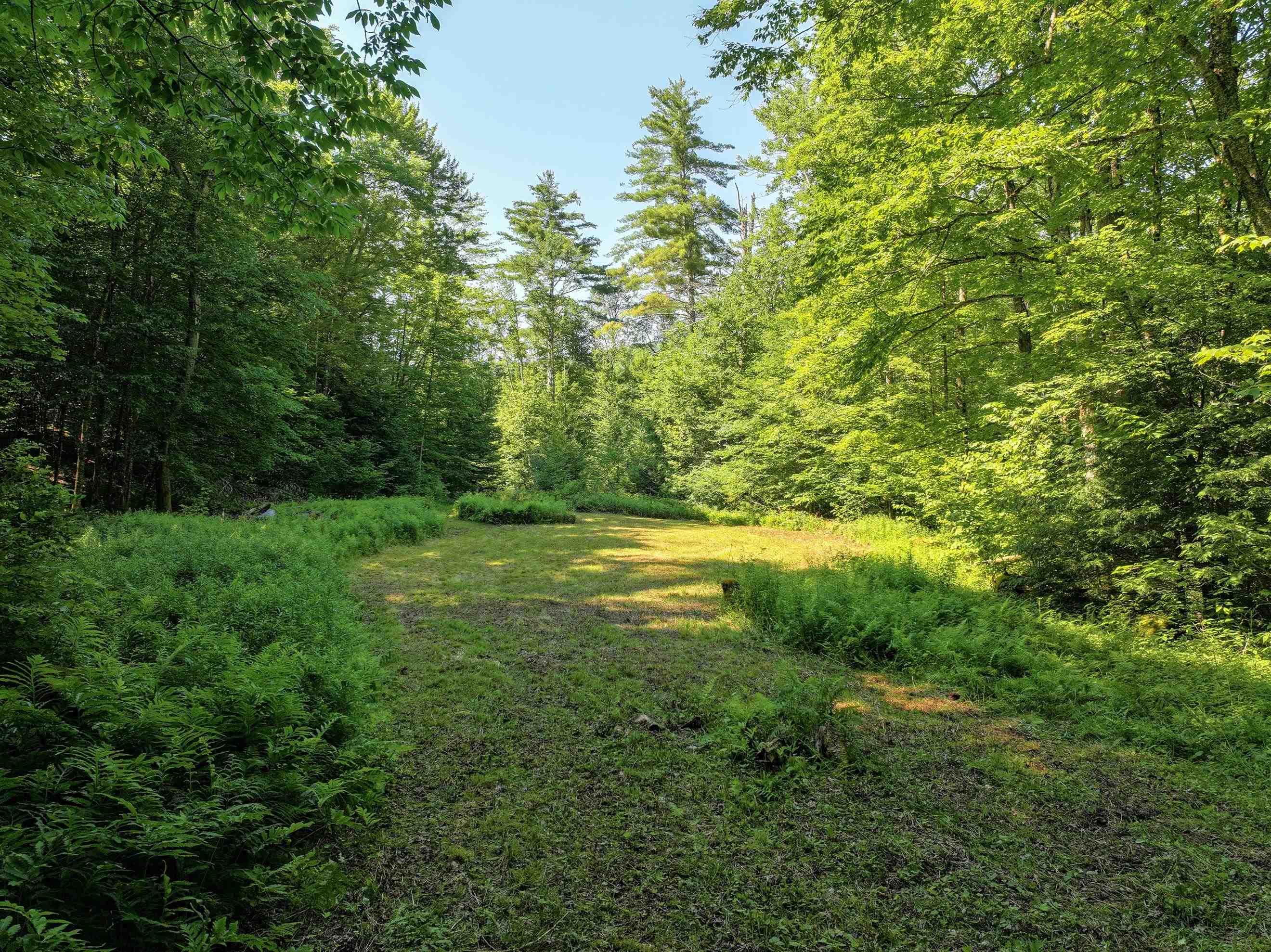 1883 West River Road Lincoln, VT 05443 - Photo 49 of 50