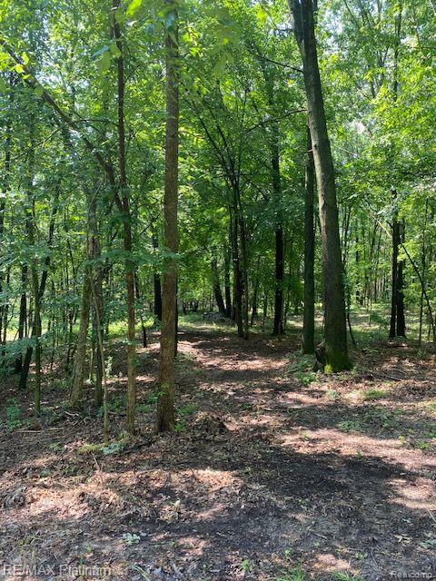 7 Sleaford-parcel 7 - 2 Acres Road Howell, MI 48843 - Photo 34 of 45