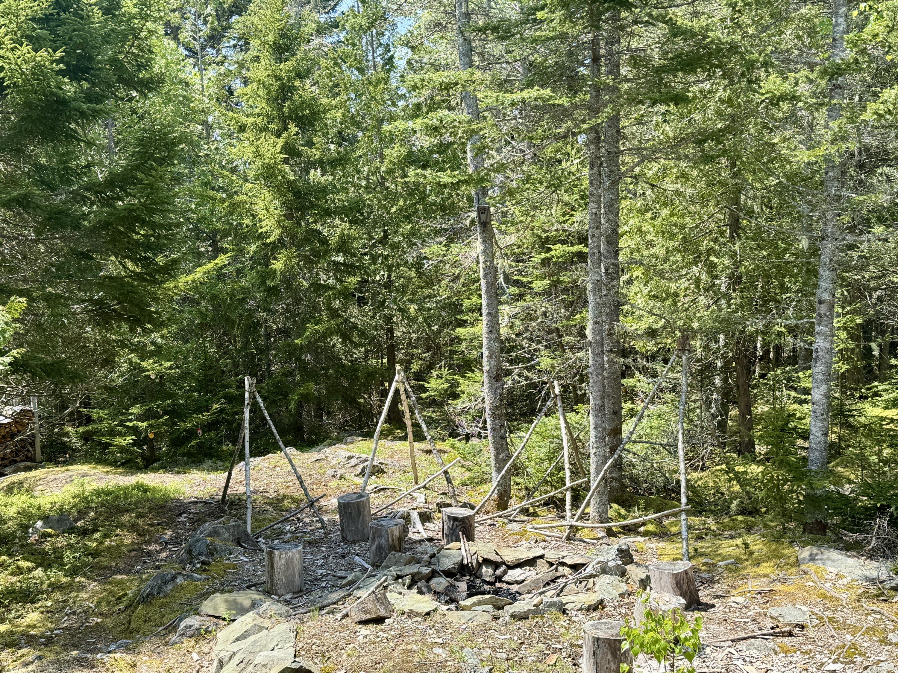 998 Cape Rosier Road Harborside, ME 04642 - Photo 34 of 42 IMG_7648