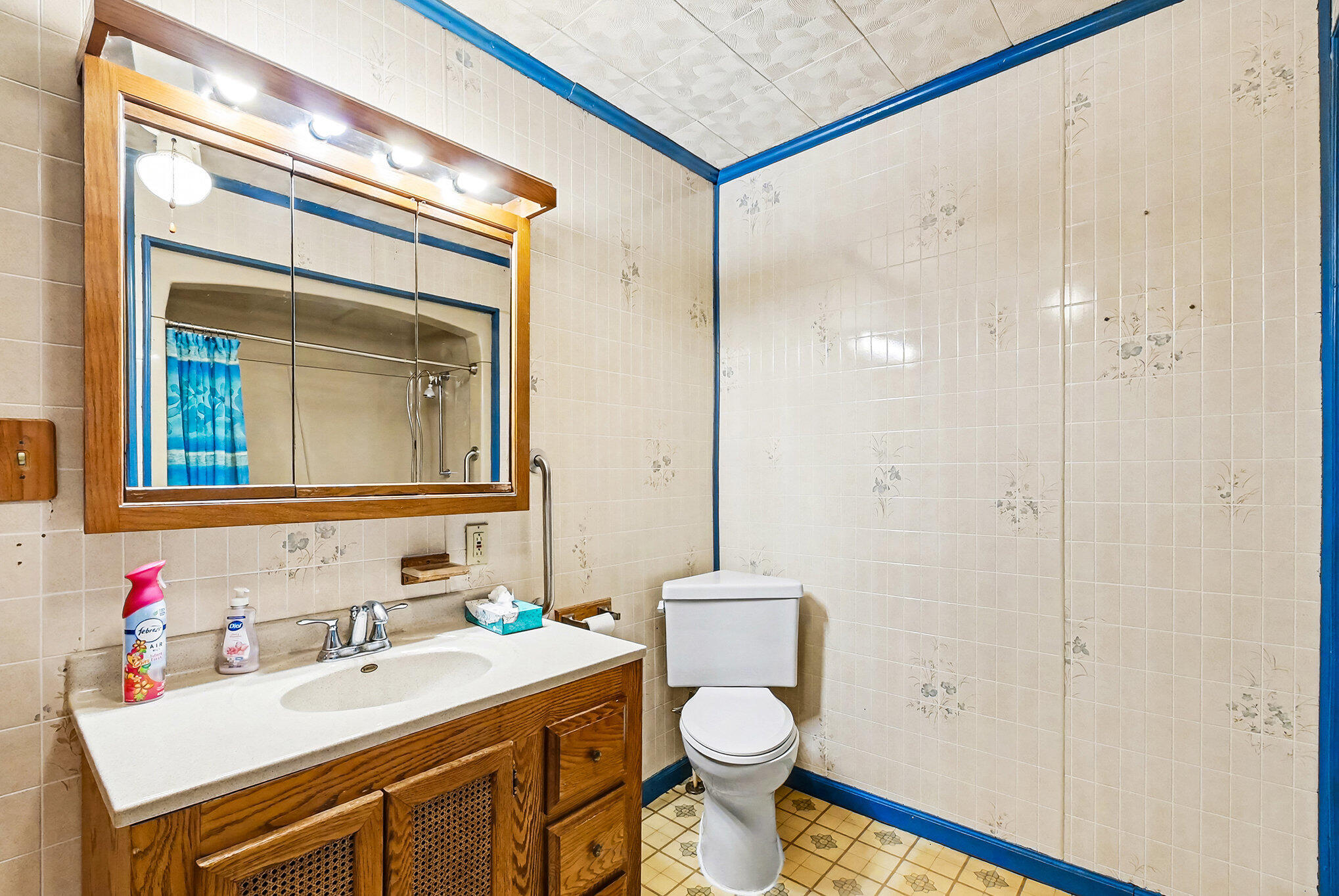 735 Royal Drive Jackson, MI 49202 - Photo 18 of 23 Bathroom