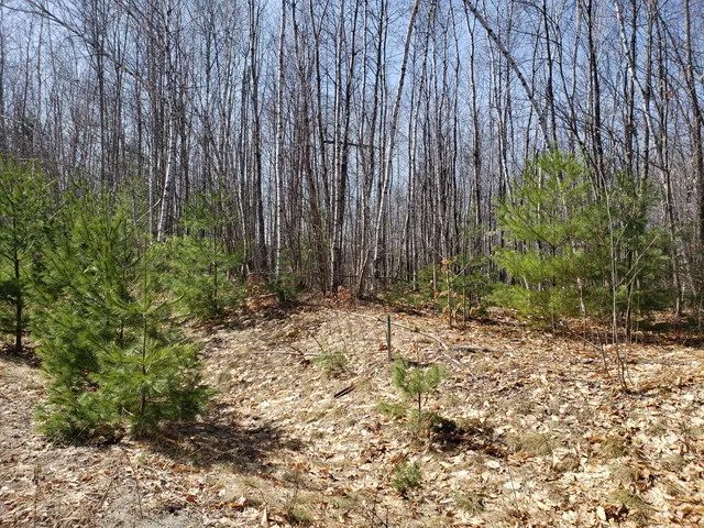 $27,000 | Tbd Deerfield Lane, Farmington, ME 04938