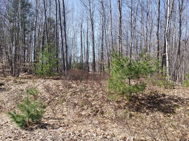 $27,000 | Tbd Deerfield Lane, Farmington, ME 04938