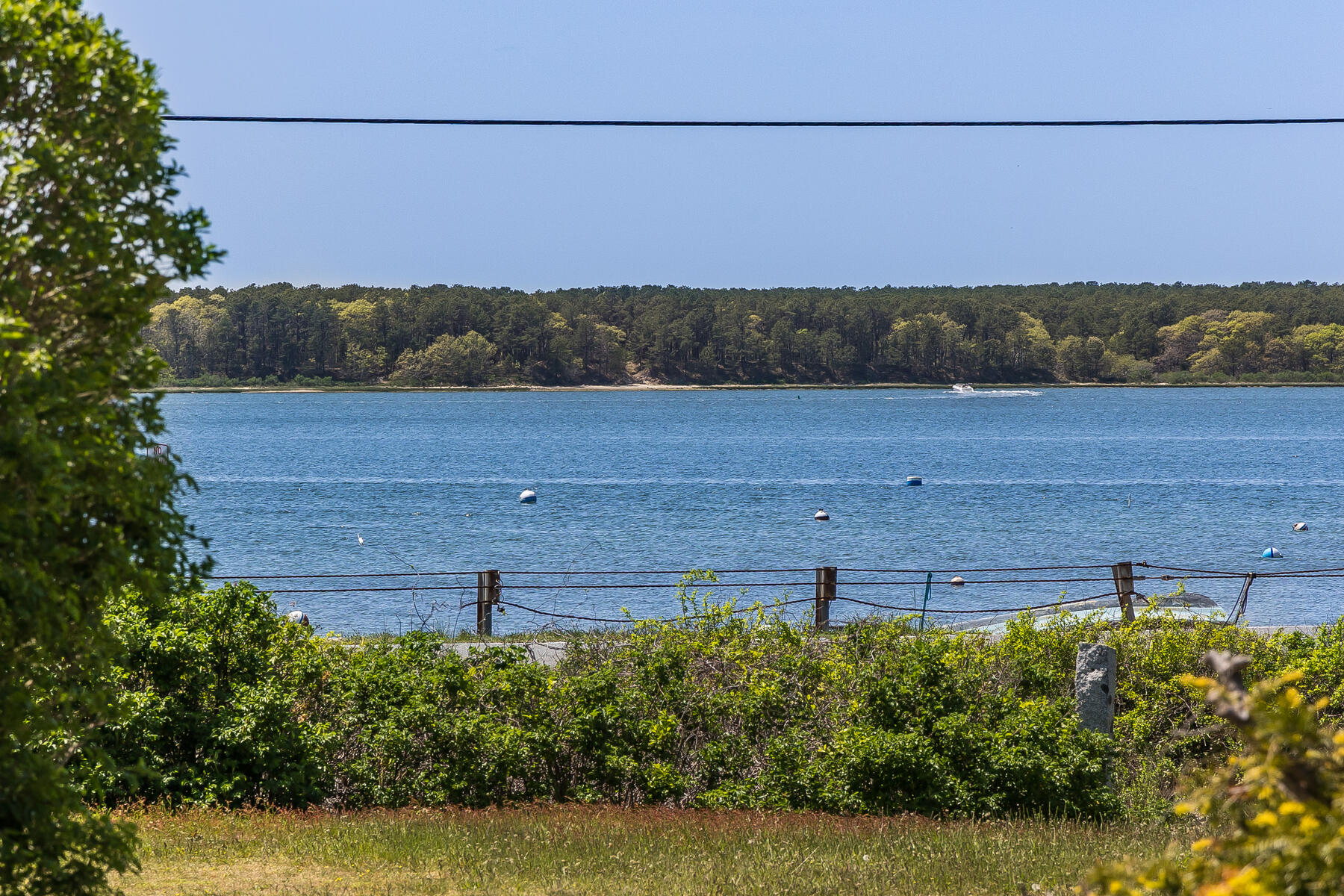 7 Slipper Shell Way Mashpee, MA 02649 - Photo 2 of 27 a view of a yard