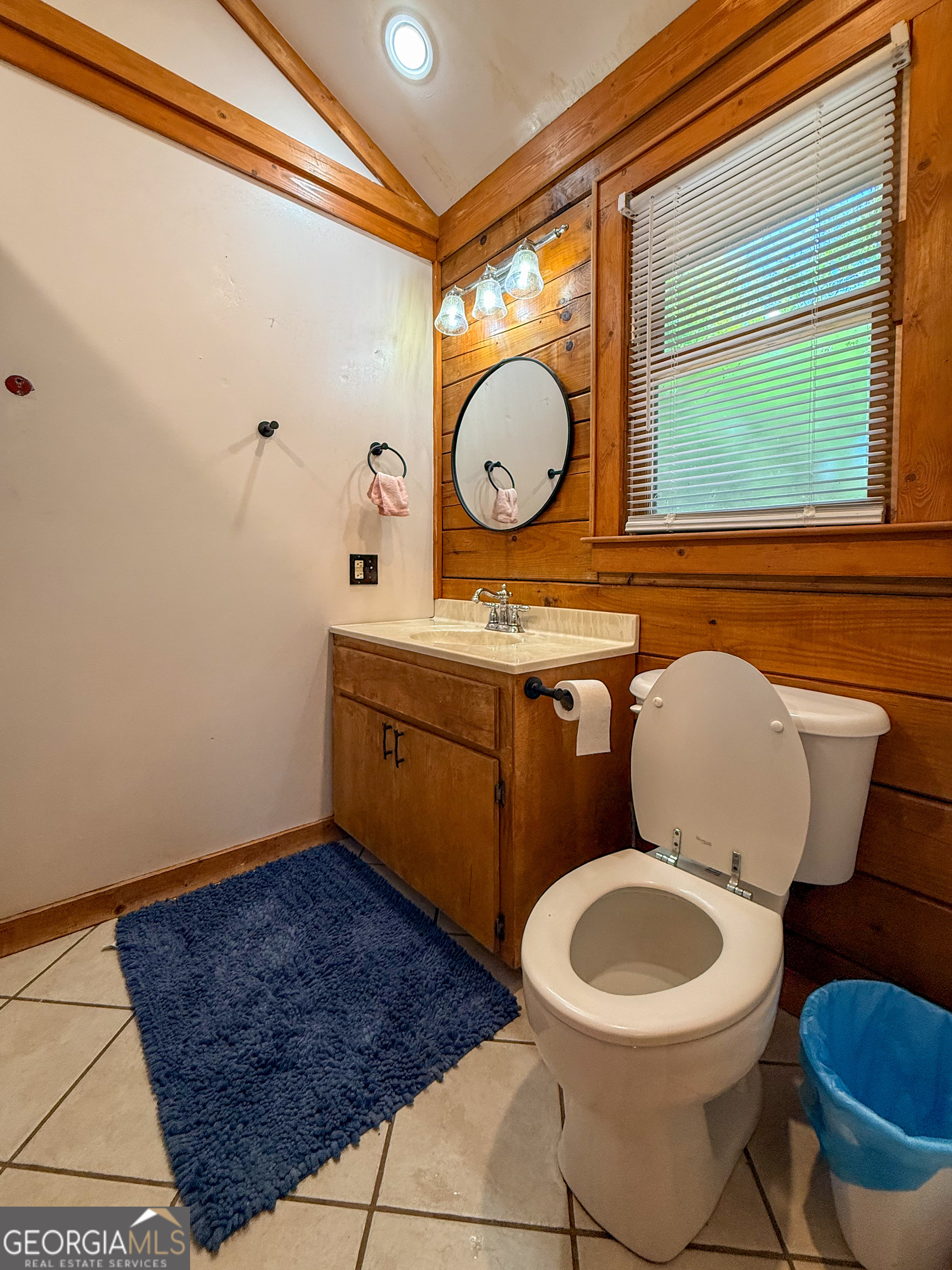 170 Hillcrest Street Cornelia, GA 30531 - Photo 11 of 18 a bathroom with a toilet a sink and a mirror