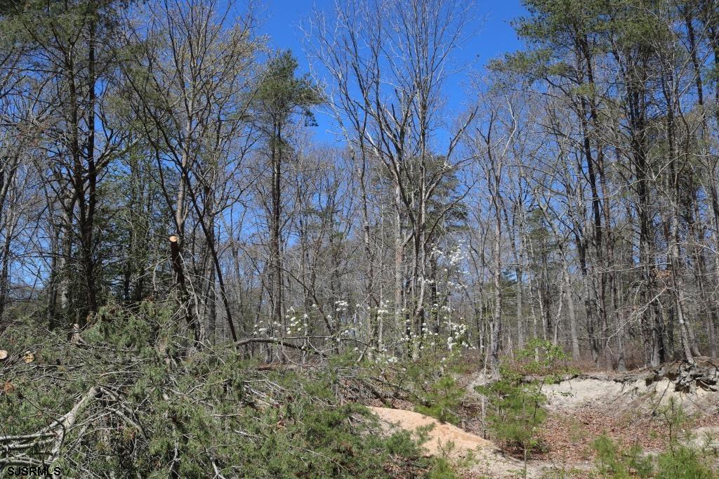 351 Shaws Mill Road Newport, NJ 08345 - Photo 9 of 84