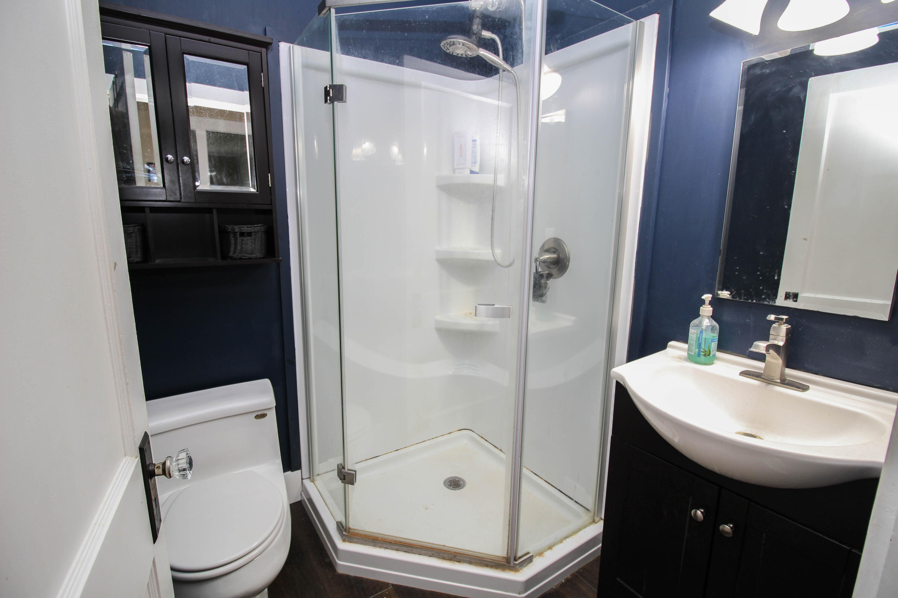 331 South Lincoln Avenue Three Rivers, MI 49093 - Photo 15 of 17 Linda (15 of 17)