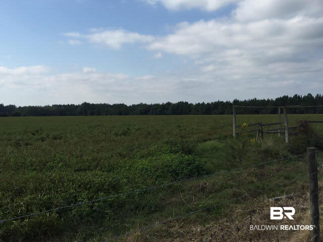 28661 Three Mile Road Elberta, AL 36530 - Photo 13 of 30