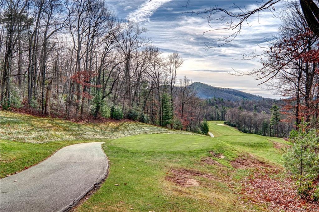 346 Running Fox Road, Unit 26 Sapphire, NC 28774 - Photo 3 of 26 Gallery Image 3