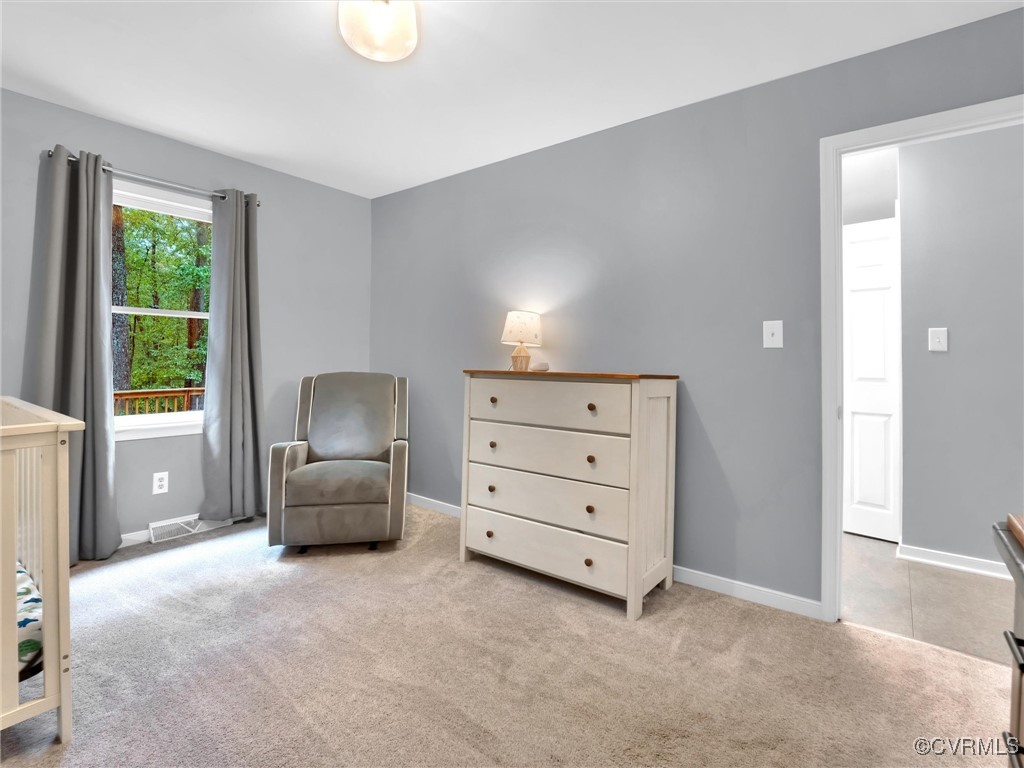 10241 North Donegal Road Chesterfield, VA 23832 - Photo 24 of 45 Gallery Image 24