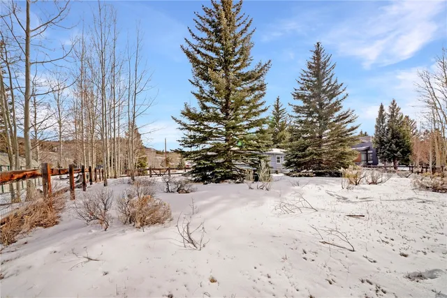a view of a yard covered in snow