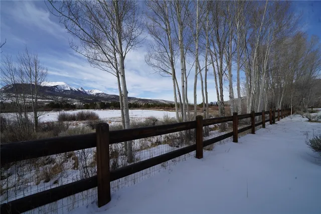 a view of a street with large trees