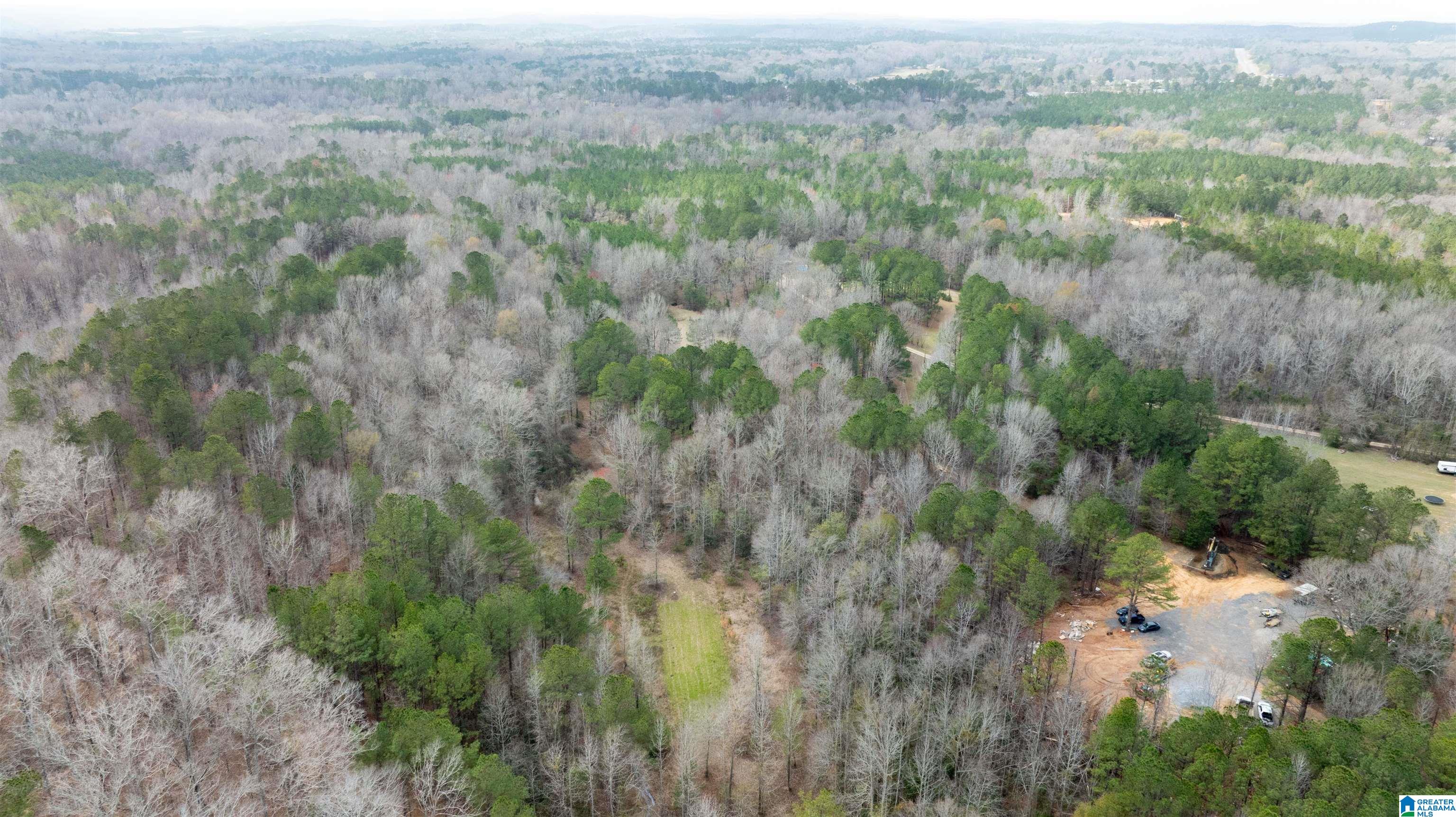 12371 Slayton Road Duncanville, AL 35456 - Photo 81 of 81