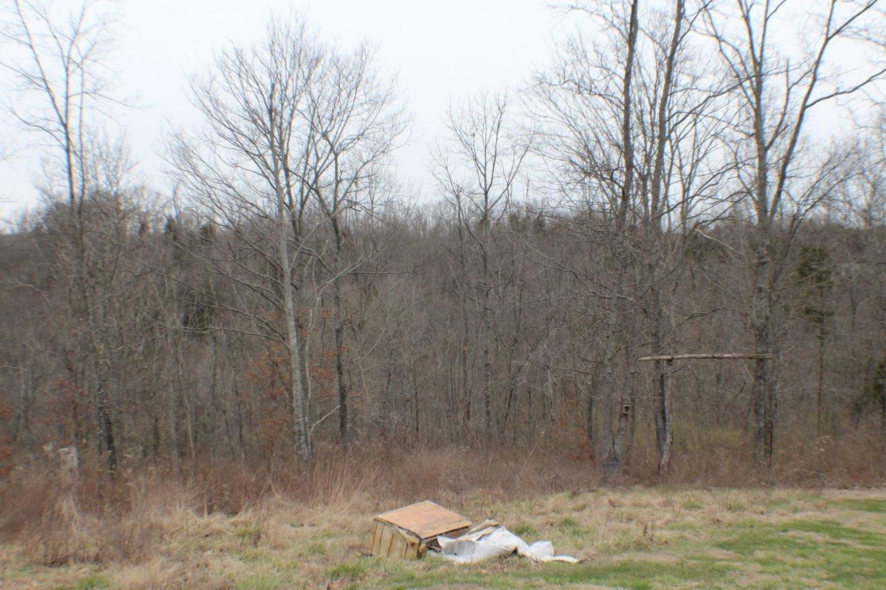 1054 Union Ridge Road Stamping Ground, KY 40379 - Photo 24 of 30 Photo 24