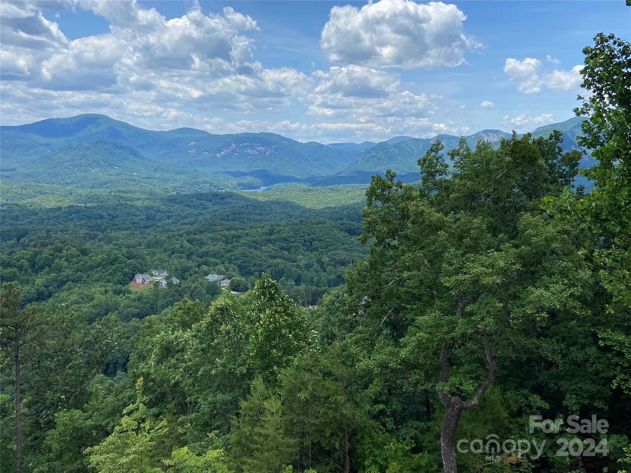 0 Golden Ridge Drive, Unit 133 Lake Lure, NC 28746 - Photo 1 of 14 an aerial view of houses covered in trees