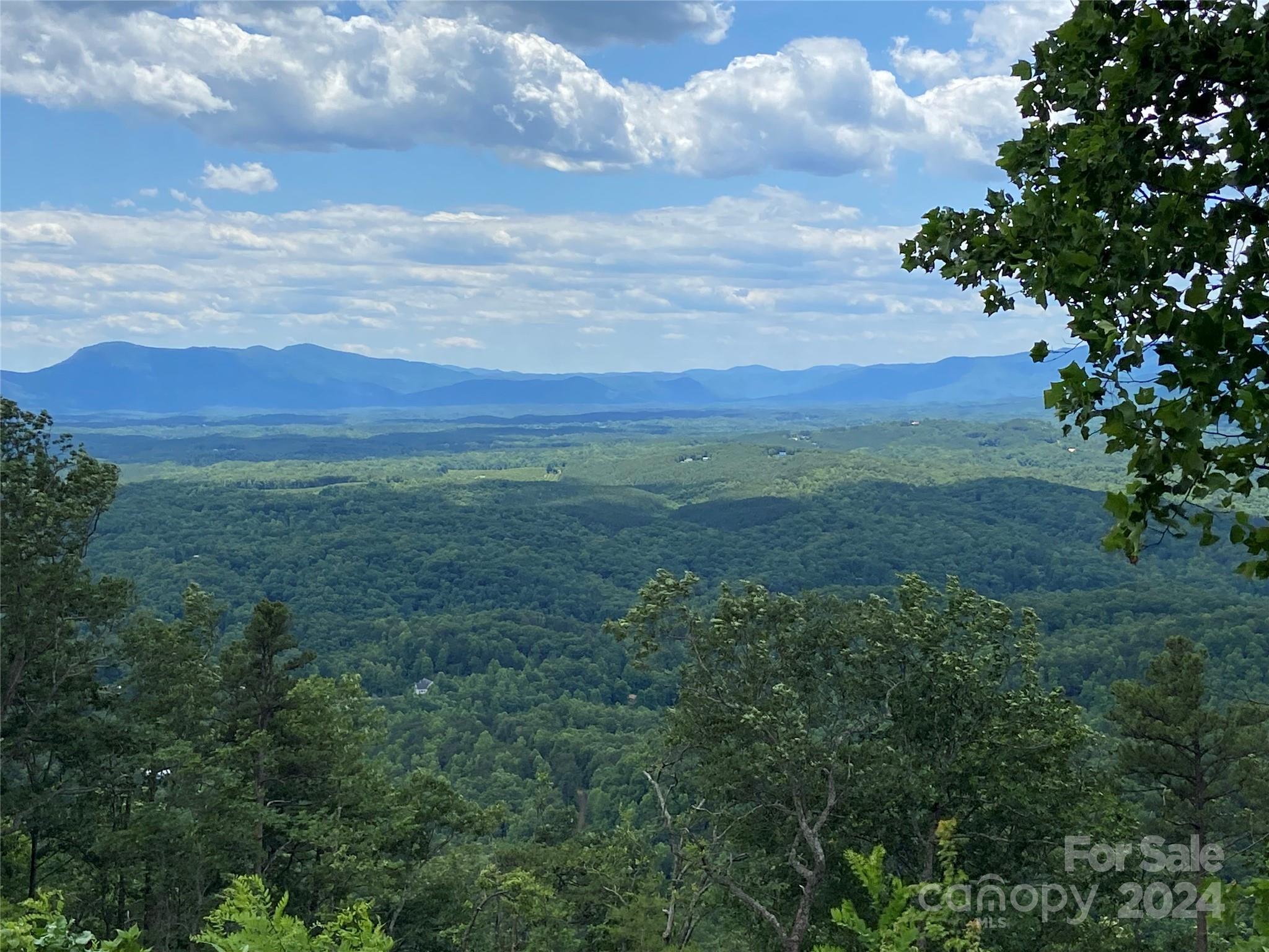 0 Golden Ridge Drive, Unit 133 Lake Lure, NC 28746 - Photo 2 of 14