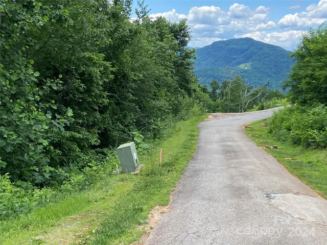 a view of a lush green forest