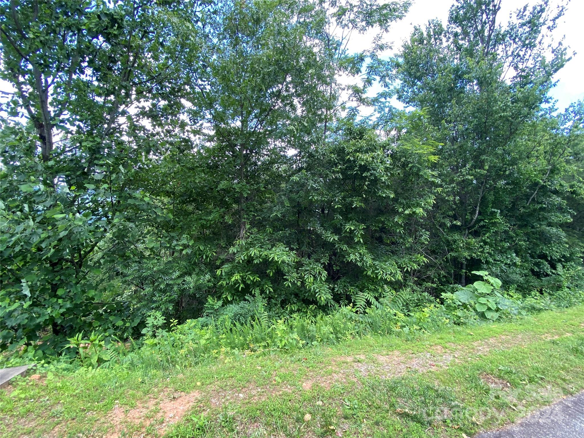 0 Golden Ridge Drive, Unit 133 Lake Lure, NC 28746 - Photo 4 of 14 a view of a lush green forest