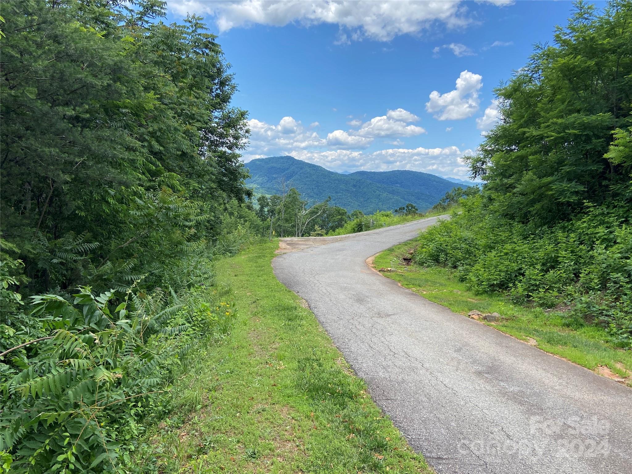0 Golden Ridge Drive, Unit 133 Lake Lure, NC 28746 - Photo 5 of 14 a view of a street view