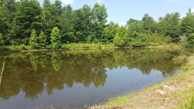 1174 Walter Jenkins Road Ruth, MS 39662 - Photo 1 of 1 Main View