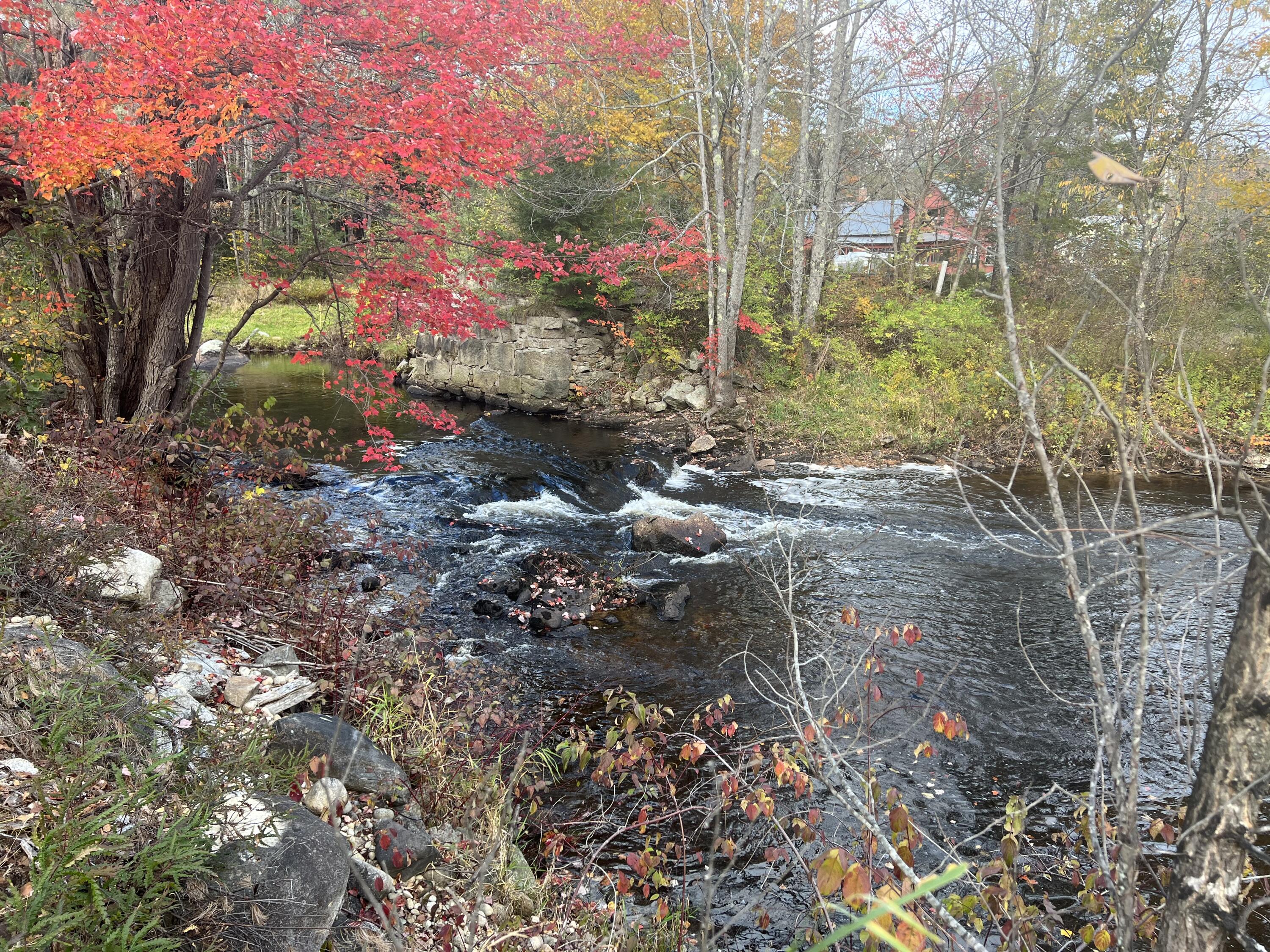 Tbd Lot Norway Road Waterford, ME 04088 - Photo 14 of 21 Hear the Rush of the Water