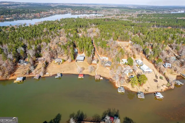 an aerial view of residential houses with outdoor space and trees