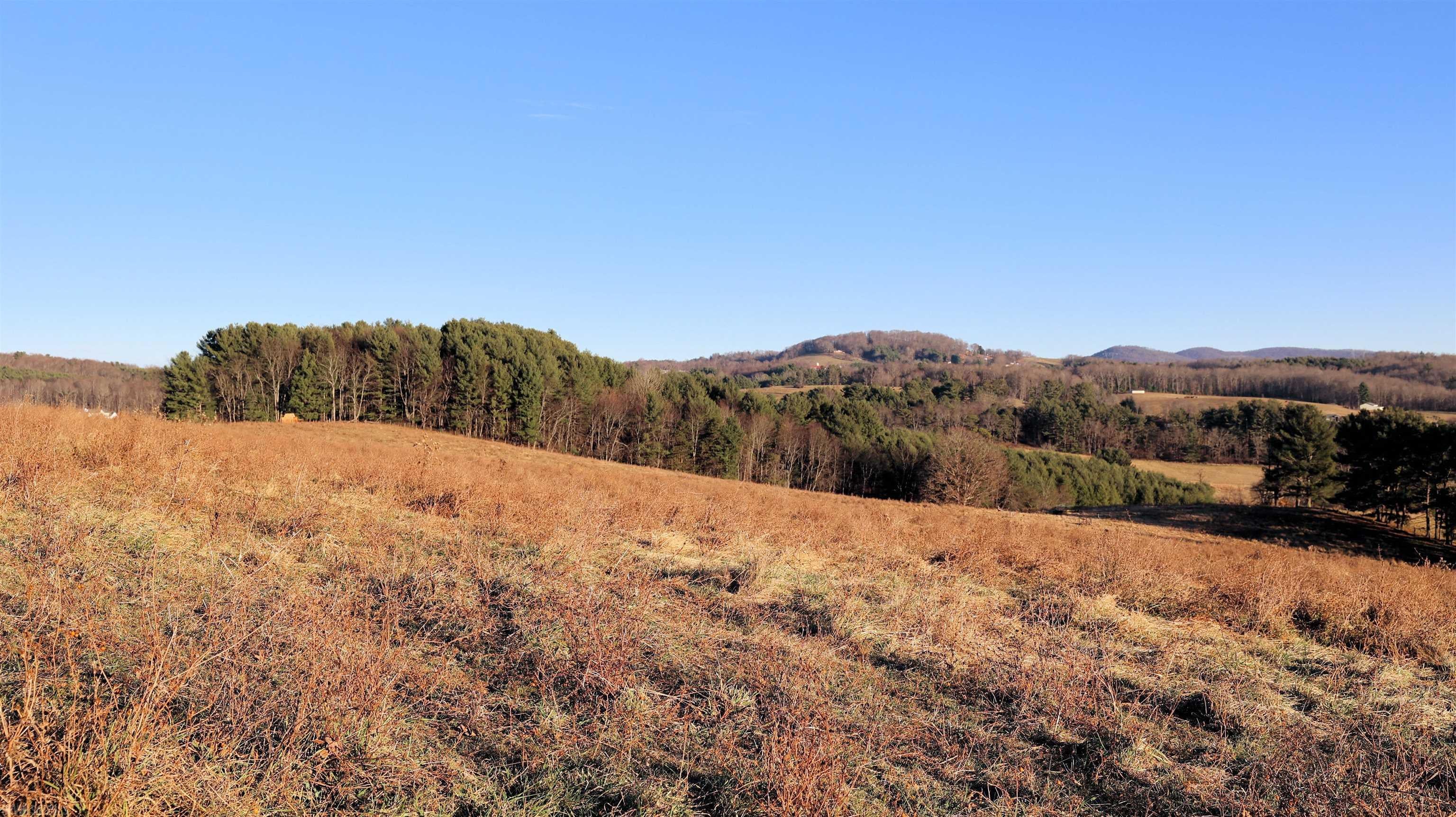 13.04 Ac Laurel Branch Road Floyd, VA 24091 - Photo 2 of 34 Gallery Image 2