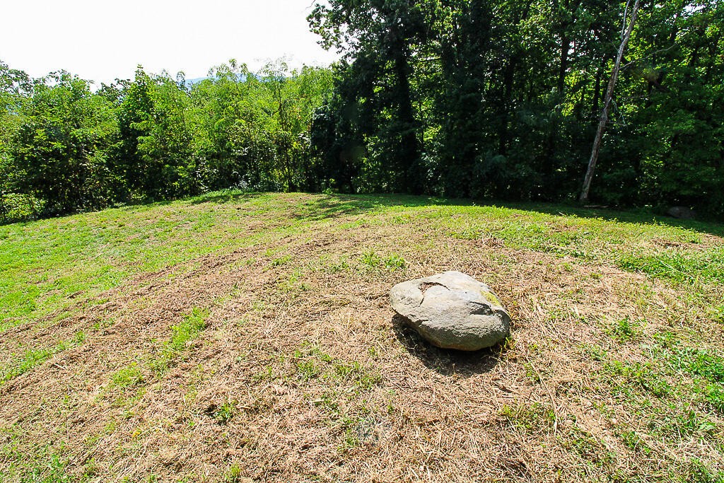 1468 Laurel Road Gatlinburg, TN 37738 - Photo 12 of 40 Gallery Image 12