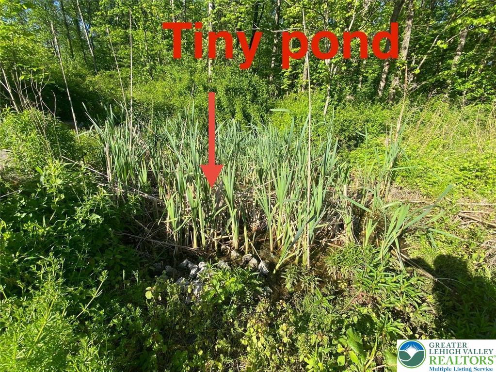 244 Learn Road Tannersville, PA 18372 - Photo 38 of 69