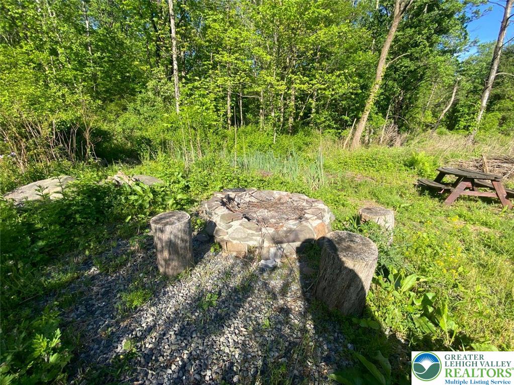 244 Learn Road Tannersville, PA 18372 - Photo 39 of 69