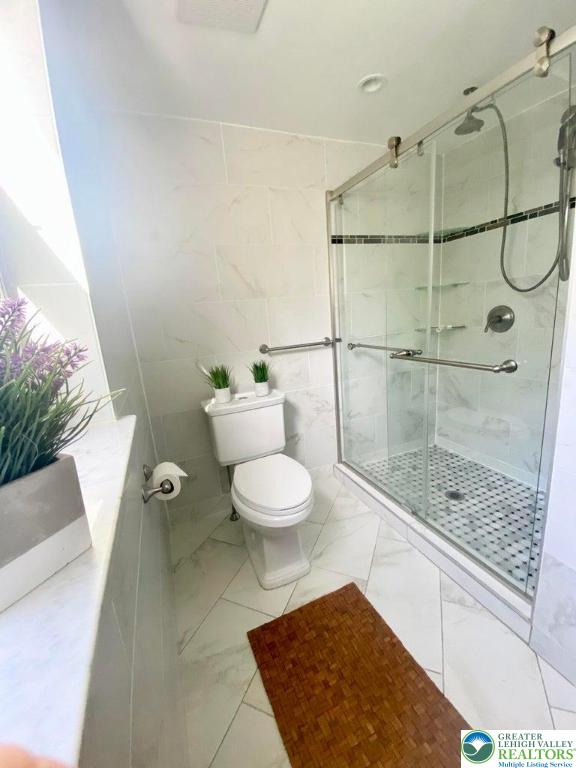 244 Learn Road Tannersville, PA 18372 - Photo 46 of 69 a bathroom with a toilet and a shower