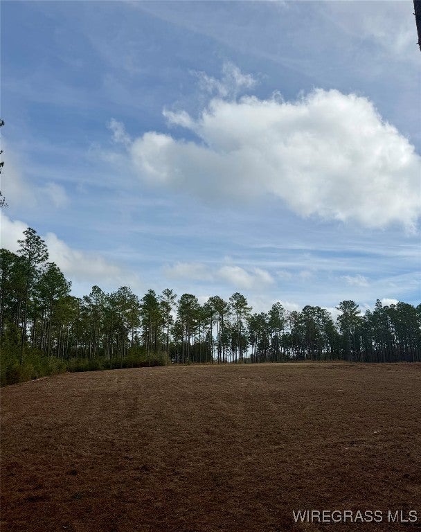 18755 Catherine Bailey Road Andalusia, AL 36420 - Photo 14 of 14 Gallery Image 14