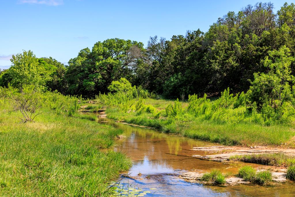 2195 Langes Mill Road Doss, TX 78618 - Photo 1 of 12 a view of a lake from a yard