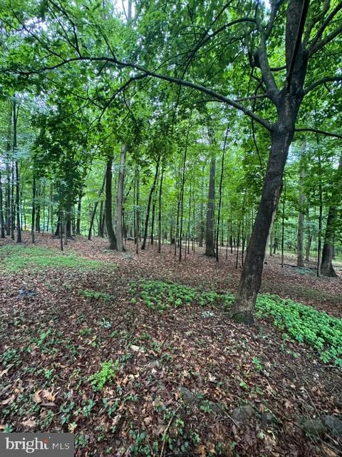 9810 Woodsboro Road Frederick, MD 21701 - Photo 9 of 12