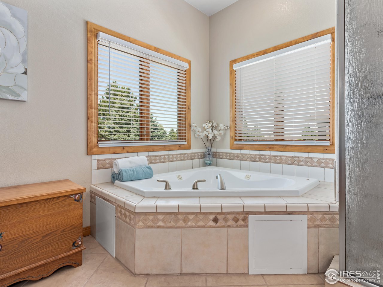8193 Admiral Drive Windsor, CO 80528 - Photo 21 of 39 a bath tub sitting in a bathroom next to a window