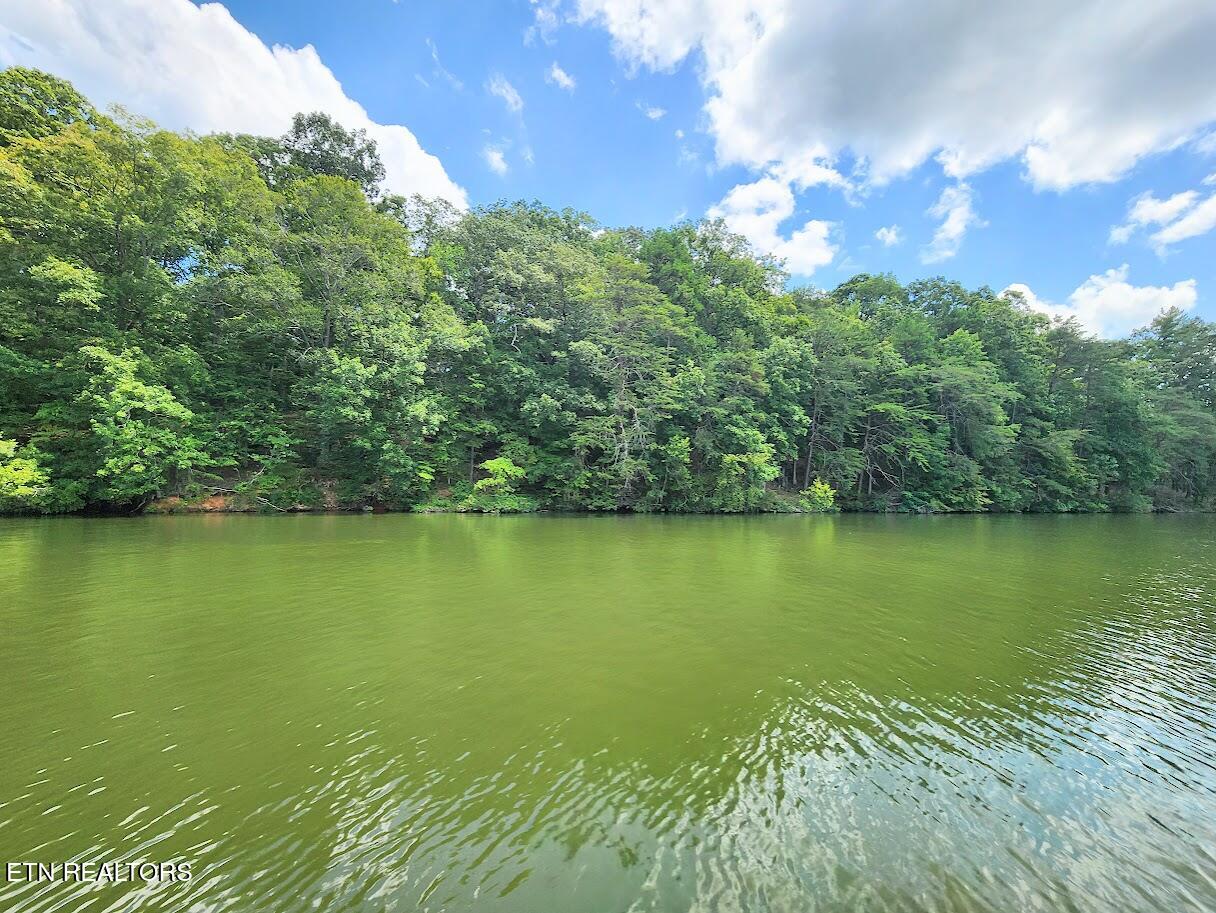 128 Hart Orchard Road Kingston, TN 37763 - Photo 11 of 25 Drone