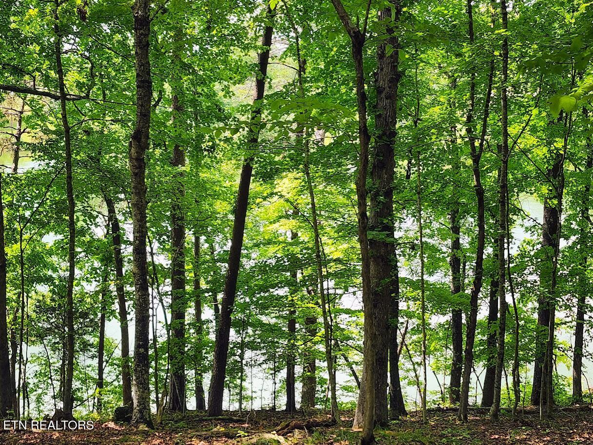 128 Hart Orchard Road Kingston, TN 37763 - Photo 16 of 25 Ground