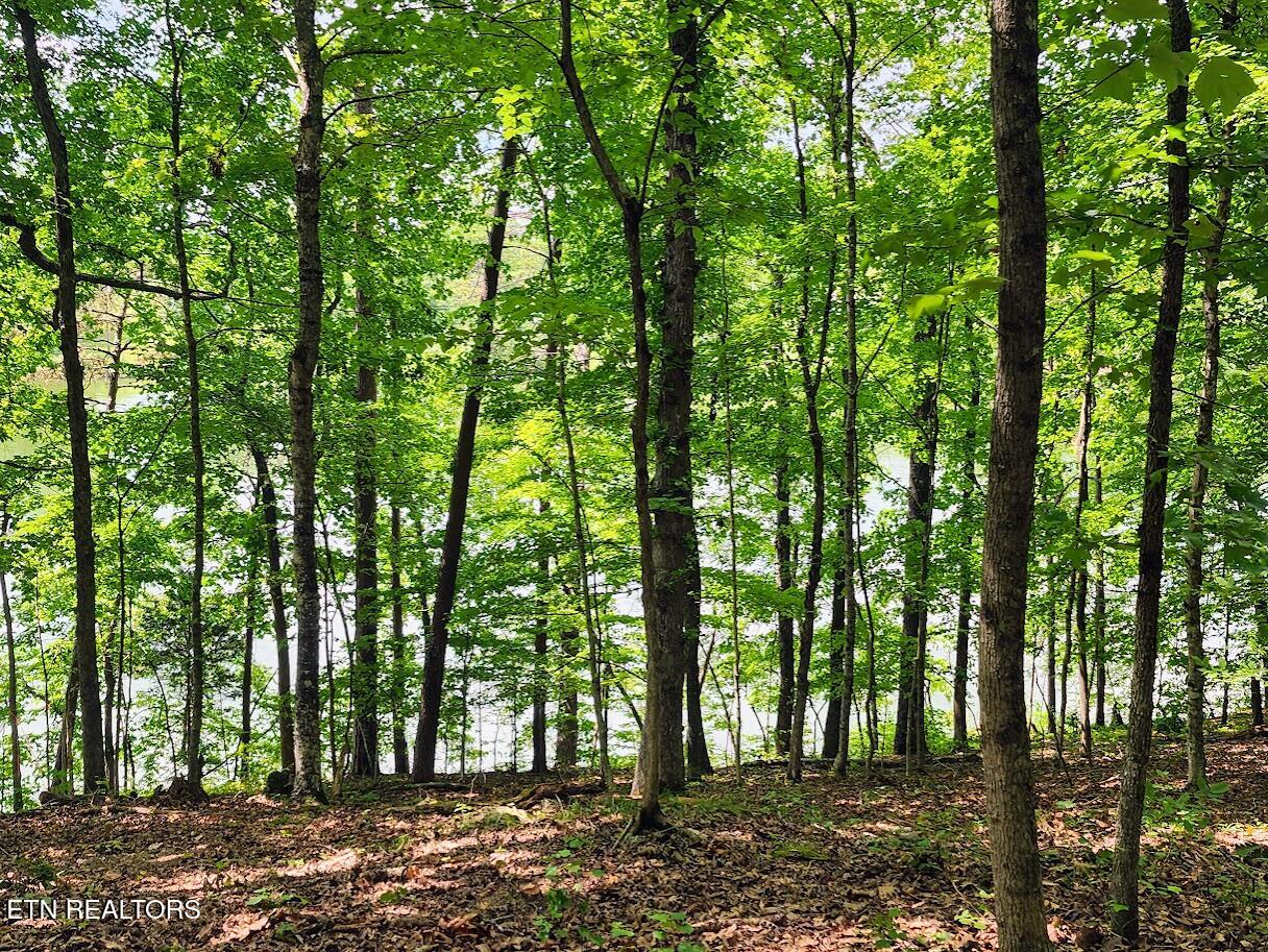 128 Hart Orchard Road Kingston, TN 37763 - Photo 17 of 25 Ground