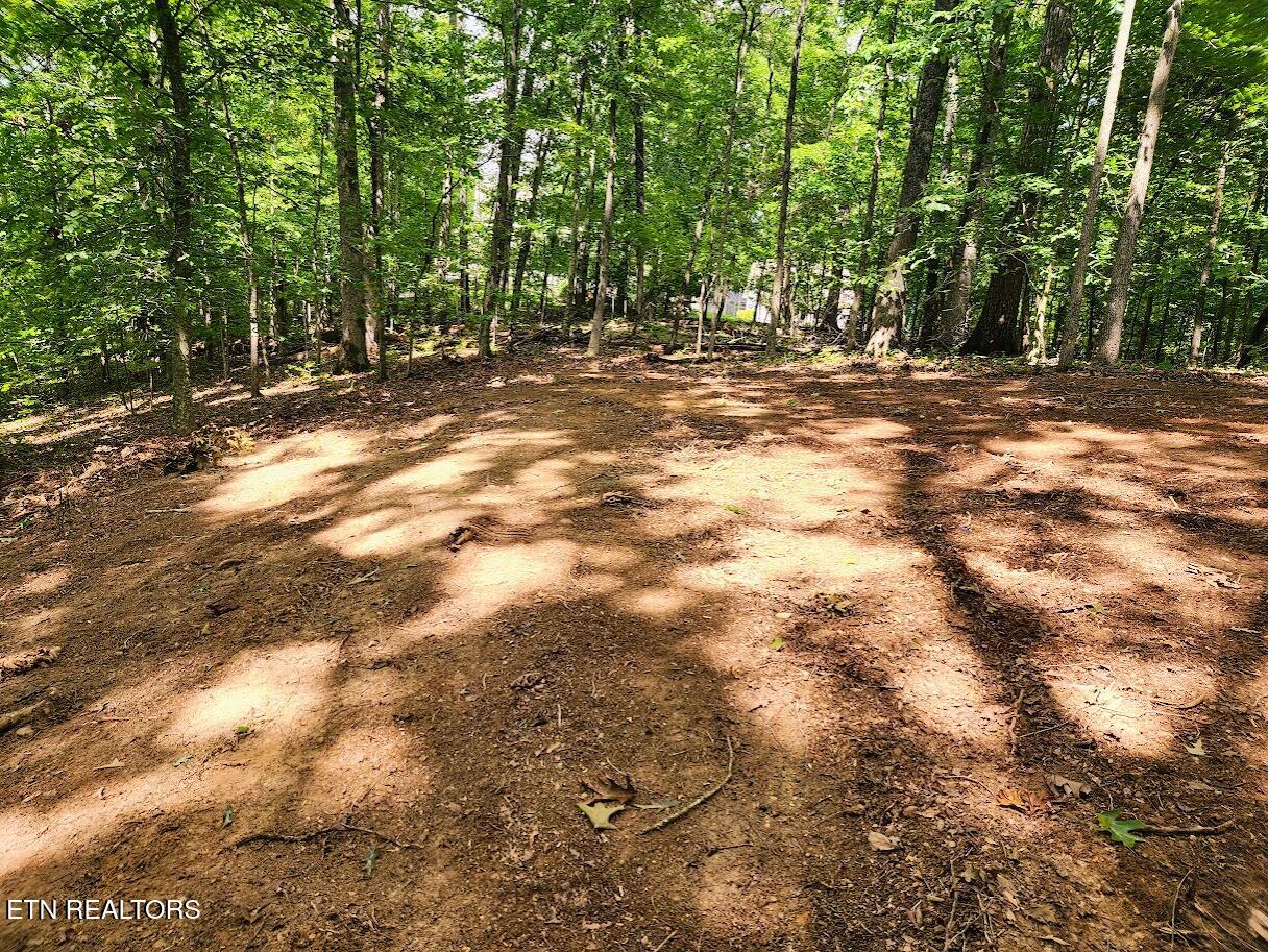 128 Hart Orchard Road Kingston, TN 37763 - Photo 18 of 25 Ground