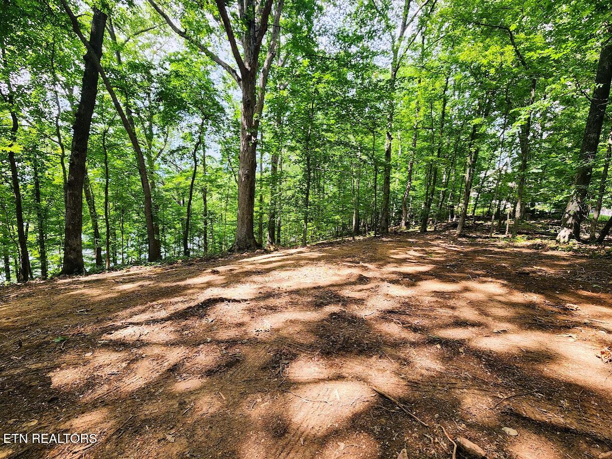 128 Hart Orchard Road Kingston, TN 37763 - Photo 20 of 25 Ground