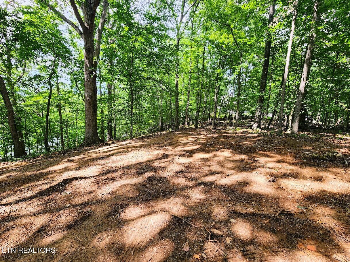 128 Hart Orchard Road Kingston, TN 37763 - Photo 22 of 25 Ground