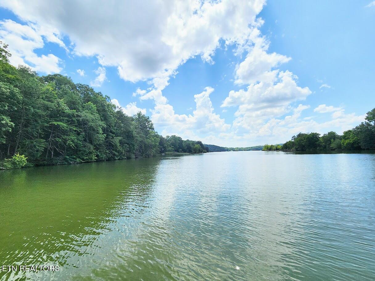 128 Hart Orchard Road Kingston, TN 37763 - Photo 8 of 25 Drone